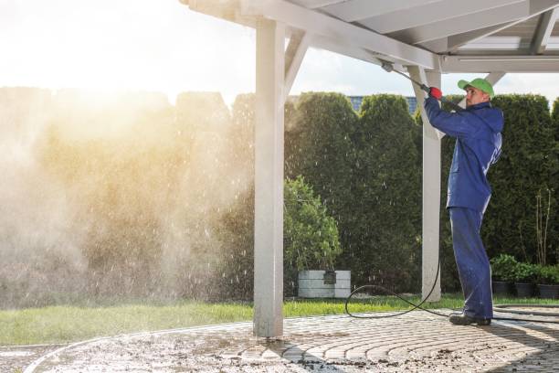 Best Soft Washing  in Southside Place, TX